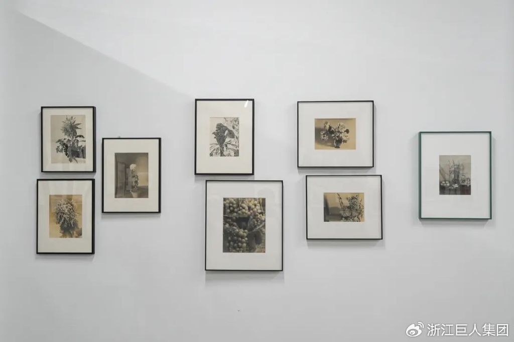 博览相机文化 致敬科技匠心——南浔巨人照相机博物馆开幕